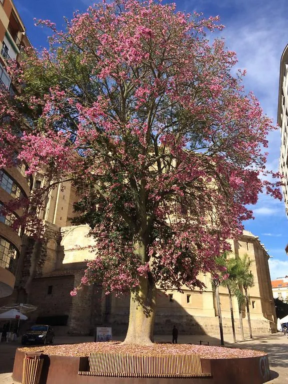 Don Juan De Malaga 2 La Catedral Apartment Spain