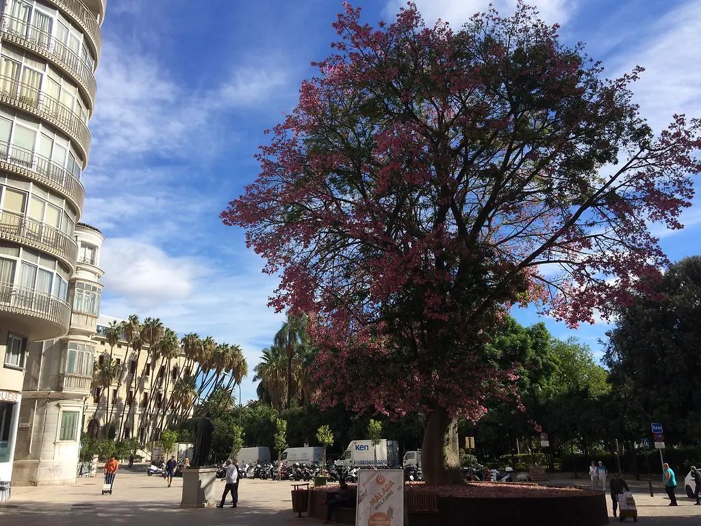Don Juan De Malaga 2 La Catedral Apartment Spain